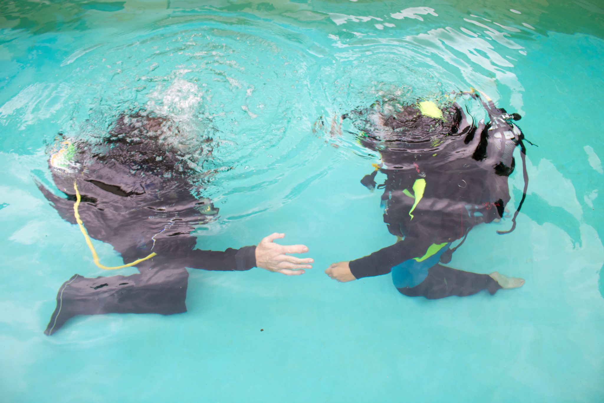 PADI duikinstructeur Eindhoven| Brabant Diving Noord Brabant